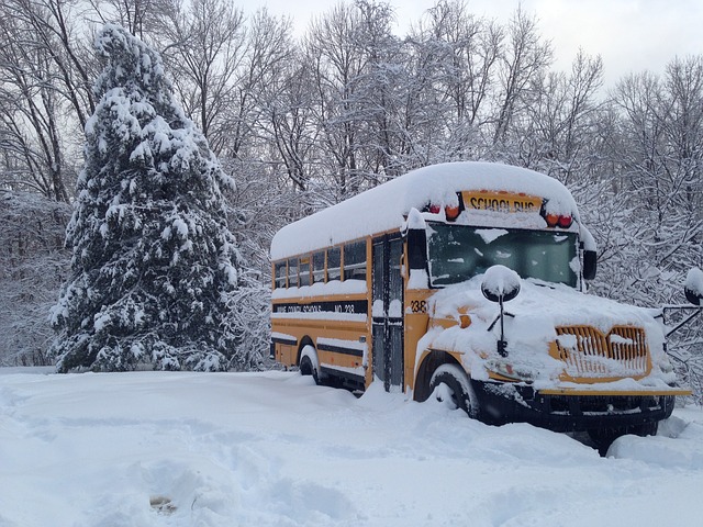 snow_bus